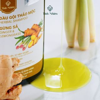 Dầu Gội Gừng Sả Tinh Nhiên 300 ml Chống Gàu, Chống Viêm, Diệt Khuẩn, Diệt Nấm Da Đầu