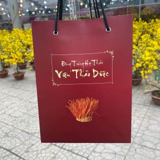 Đông Trùng Hạ Thảo Viện Thảo Dược - Hoa Đông Trùng Hạ Thảo Khô 30gr - Viện Nghiên Cứu Thảo Dược Việt Nam