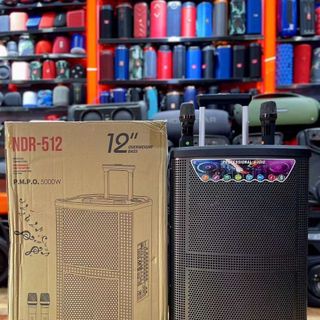 Loa Kéo Di Động NDR-512 (Bass 12", 2 Micro)