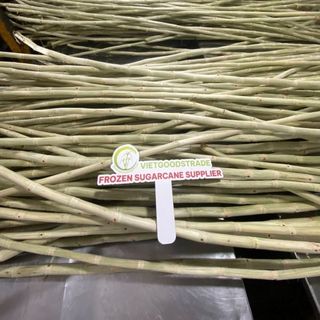 Cung cấp mía cây đông lạnh xuất khẩu giá sỉ - Viet Goods Trade