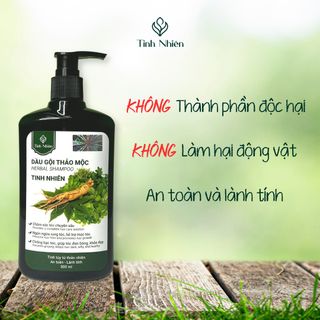 Dầu Gội Thảo Mộc Tinh Nhiên 300 ml Chăm Sóc Tóc Chuyên Sâu, Kích Thích Mọc Tóc, Chống Rụng Tóc, Phục Hồi Tóc Hư Tổn