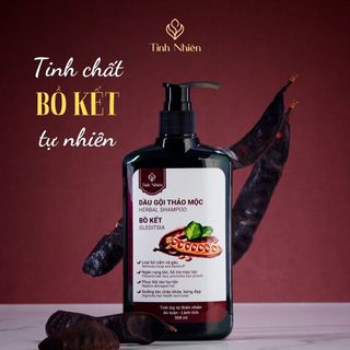 Dầu Gội Bồ Kết Tinh Nhiên 300 ml Phục Hồi Tóc Hư Tổn, Khắc Phục Rụng Tóc, Hỗ Trợ Mọc Tóc