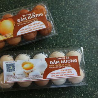 SỈ TRỨNG GÀ TA ĐẢM NƯƠNG - HỘP 10 QUẢ - SỈ VÀ LẺ