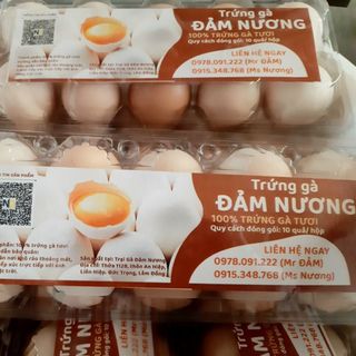 SỈ TRỨNG GÀ TA ĐẢM NƯƠNG - HỘP 10 QUẢ - SỈ VÀ LẺ