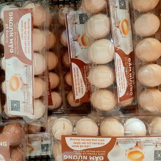SỈ TRỨNG GÀ TA ĐẢM NƯƠNG - HỘP 10 QUẢ - SỈ VÀ LẺ