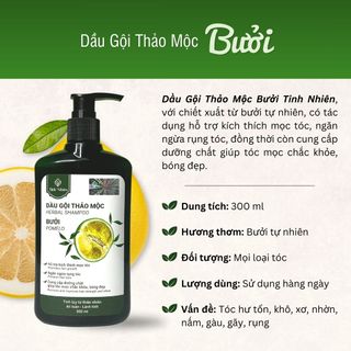 Dầu Gội Bưởi Tinh Nhiên 300 ml Kích Thích Mọc Tóc, Chống Rụng Tóc, Giúp Tóc Mọc Dày Chắc Khỏe