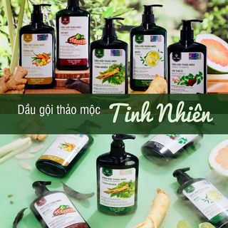 Dầu Gội Bưởi Tinh Nhiên 300 ml Kích Thích Mọc Tóc, Chống Rụng Tóc, Giúp Tóc Mọc Dày Chắc Khỏe