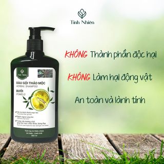 Dầu Gội Bưởi Tinh Nhiên 300 ml Kích Thích Mọc Tóc, Chống Rụng Tóc, Giúp Tóc Mọc Dày Chắc Khỏe