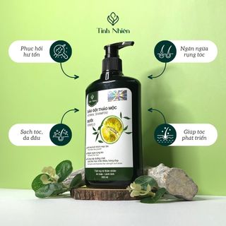 Dầu Gội Bưởi Tinh Nhiên 300 ml Kích Thích Mọc Tóc, Chống Rụng Tóc, Giúp Tóc Mọc Dày Chắc Khỏe