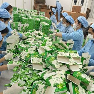 Cần tây tảo xoắn