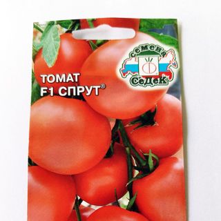 Hạt giống Cà chua bạch tuột chùm nhiều trái to lai F1 nhập Nga giá sỉ