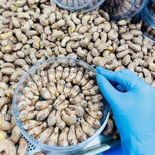 Hạt điều rang muối nguyên lụa