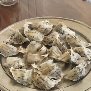 Tổ Yến  Thô100g giá sỉ - giá bán buôn  1.800.000₫  2 - 5 Hộp