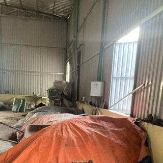 Đất sạch giàu dinh dưỡng Thái Thiếu Phấn-Vinaxanh