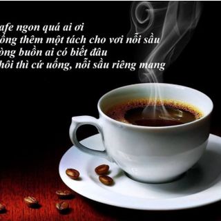 Cà phê Thương hiệu Uy Tín Bmt loại R