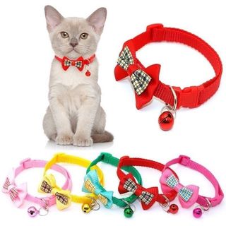 Vòng cổ chó mèo siêu dễ thương, vòng cổ siêu xinh chó mèo, vòng cổ cho thú cưng màu sắc đa dạng giá sỉ