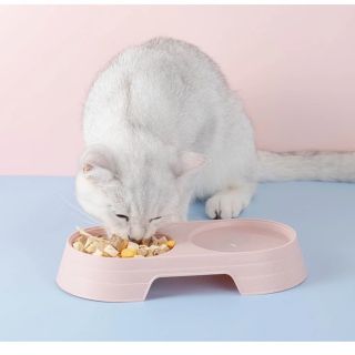 Bát Ăn Đôi Cho Thú Cưng, Bát Ăn Uống Chó Mèo 25x12x3.7cm giá sỉ