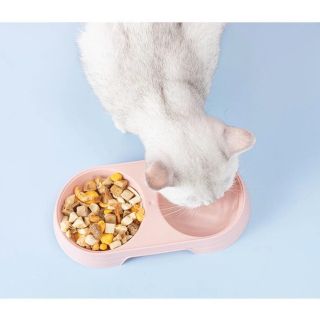 Bát Ăn Đôi Cho Thú Cưng, Bát Ăn Uống Chó Mèo 25x12x3.7cm giá sỉ
