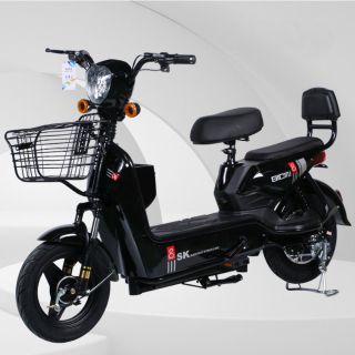 Xe đạp điện SK8 - DH155 - Giá Chưa bao gồm acquy