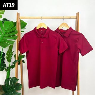 Áo Polo Nam, áo thun nam cổ trụ trơn chất vải thoáng mát màu basic size từ 45-100kg (Mã AT19)