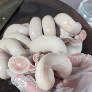 DỒI TRƯỜNG HEO CÓ CUỐNG VỈ 1KG, VỈ 2KG5 _KHO CHUYÊN SỈ GIÁ TỐT