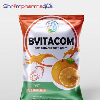 BVITACOM - Bổ sung Vitamin tổng hợp tăng sức đề kháng, giảm stress cho tôm cá giá sỉ