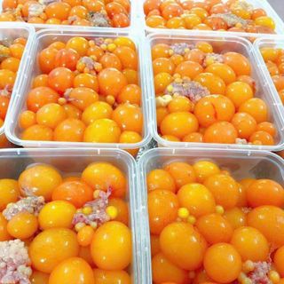 TRỨNG GÀ NON, HỘP 500GR_ KHO CHUYÊN SỈ GIÁ TỐT