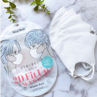 Khẩu trang chống bụi 2D Fit Up (5 cái) - Hachi Hachi Japan