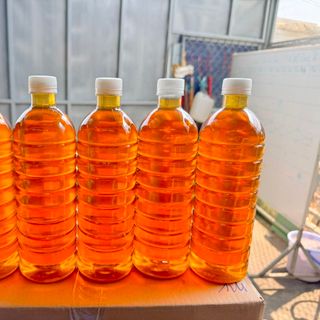 Mật Ong Xịn Nguyên Chất Loại Ánh Kim hàng siêu cao cấp (ảnh thật không qua chỉnh sửa xài app) bao để tủ mát