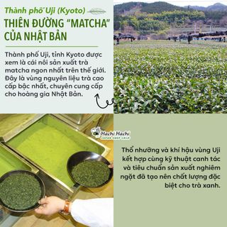 Bột trà xanh Matcha Uji Yanoen 30g - Hachi Hachi Japan Shop