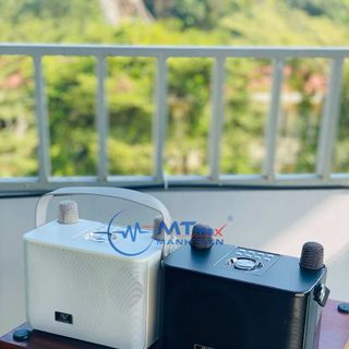 Loa Bluetooth Karaoke Mini YS226 kèm mic không dây công suất 35W
