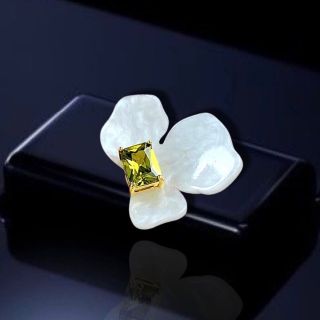 PIN CÀI ÁO ĐA NĂNG THỜI TRANG DÀNH CHO NỮ