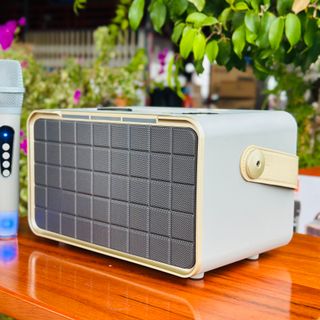 Loa Di Động Karaoke CS300 Kèm 2 Micro Không Dây Âm Thanh Trầm Ấm, Bass Căng Kết Nối Bluetooth, AUX, USB, Thẻ Nhớ, Dung Lượng Pin 3000mAh
