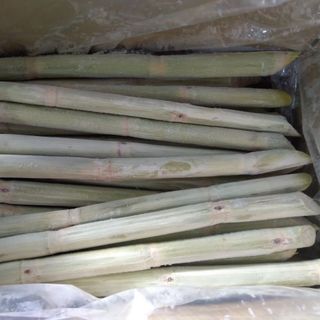 MÍA XUẤT KHẨU CẠO VỎ SẠCH CẤP ĐÔNG 10KG/THÙNG