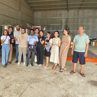 Tìm Đại lý, NPP, CTV kinh doanh nhang Trầm hương tự nhiên, nguyên chất, không tăm (AK)