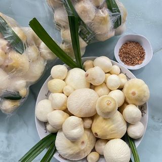 tìm nhà phân phối hoặc sỉ Mộng dừa tươi