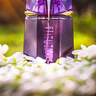 Nước hoa Nữ giới Thierry Mugler Alien Edp 90ml