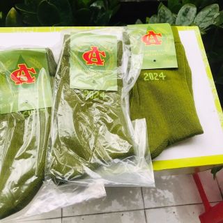 Vớ Xanh Công Sở
