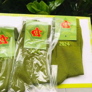 Vớ Xanh Công Sở