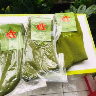 Vớ Xanh Công Sở