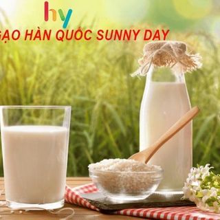 Nước gạo Hàn Quốc Sunny Day chai nhỏ 500ml- Khỏe mạnh cùng HLV Park Hang Seo giá sỉ