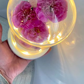 Đèn led Hoa Hồng tươi bất tử( Vĩnh Cửu) Được đựng trong bình cầu thủy tinh sang trọng