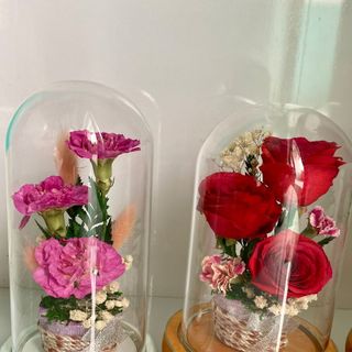 Đèn led Hoa Hồng tươi bất tử( Vĩnh Cửu) Được đựng trong bình cầu thủy tinh sang trọng