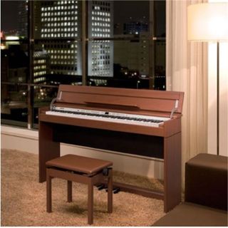 Đàn Piano Điện Roland DP 900