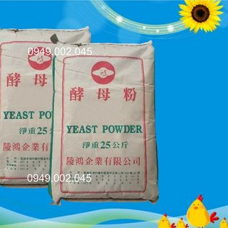 Yeast Powder - Hỗ trợ nong to đường ruột tôm giá sỉ