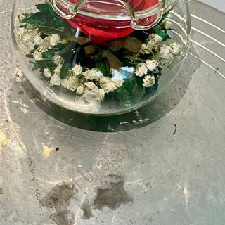 Bình bèo hoa hồng tươi bất tử. Quà tặng độc đáo và ý nghĩa