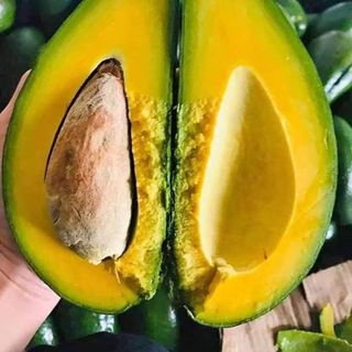 Bơ sáp không tên ( 2,3 trái /kg )