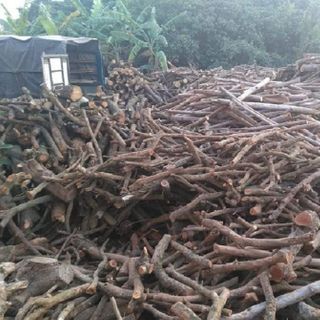 Bán củi khô TPHCM, báo giá củi đốt lò hơi, Cần mua củi đốt lò, cui đôt lo, giá củi gỗ tạp, Giá củi gỗ tạp 2023, Giá củi đốt, lò hơi đốt củi, mua bán củi tạp, Mua củi đốt lò ở Bình Dương, Thu mua củi đốt TPHCM