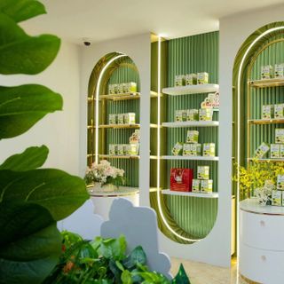 Kẹo sâm plus giảm cân