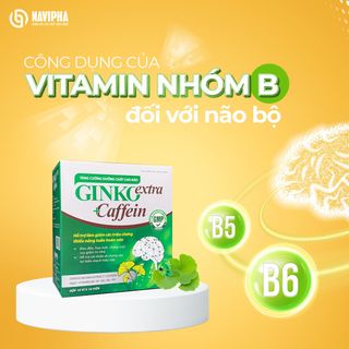GINKO EXTRA CAFFEIN HỘP 100 VIÊN TĂNG CƯỜNG TUẦN HOÀN MÁU NÃO, CẢI THIỆN TRÍ NHỚ, KHÔNG GÂY BUỒN NGỦ - SINGCARE